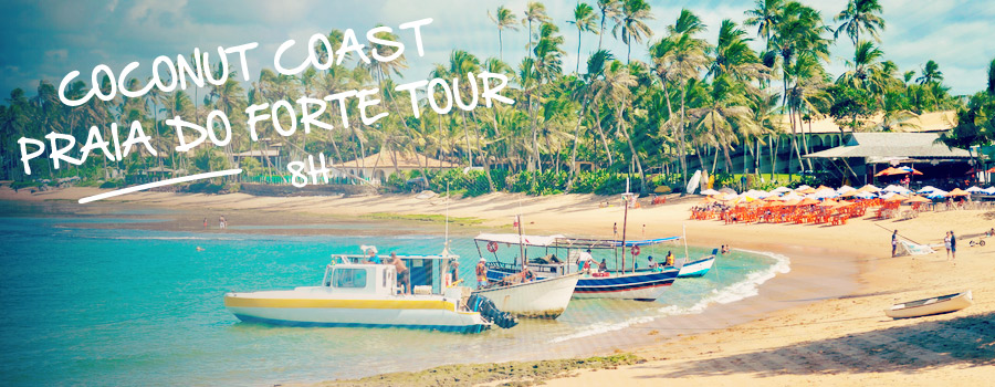 Praia do Forte North Coconut Cost